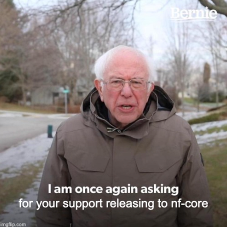 bernie once again asking for your support to make an nf-core release